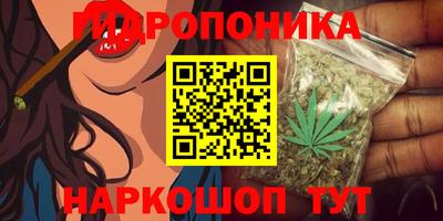 синтетический гашиш Кингисепп