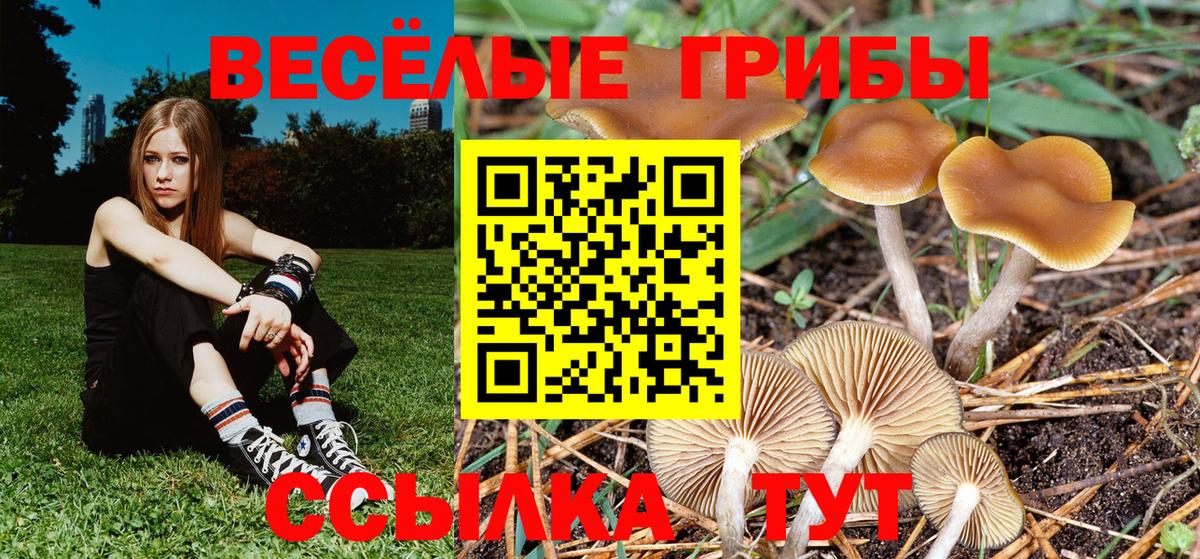 Галлюциногенные грибы прущие грибы  Вход с VPN  Комсомольск-на-Амуре 
